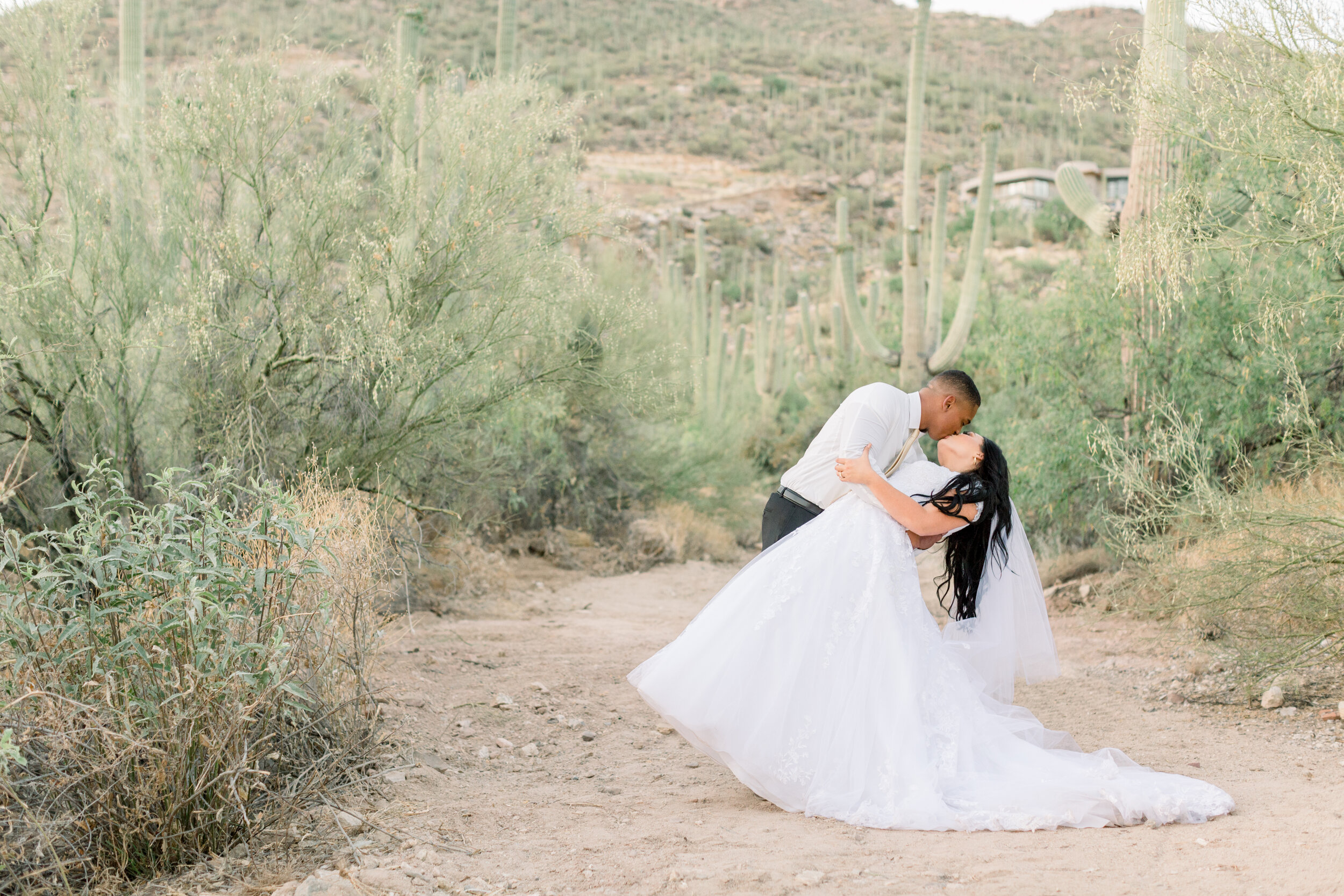 Bride and Groom share a kiss surrounded by saguaros in Tucson Arizona.