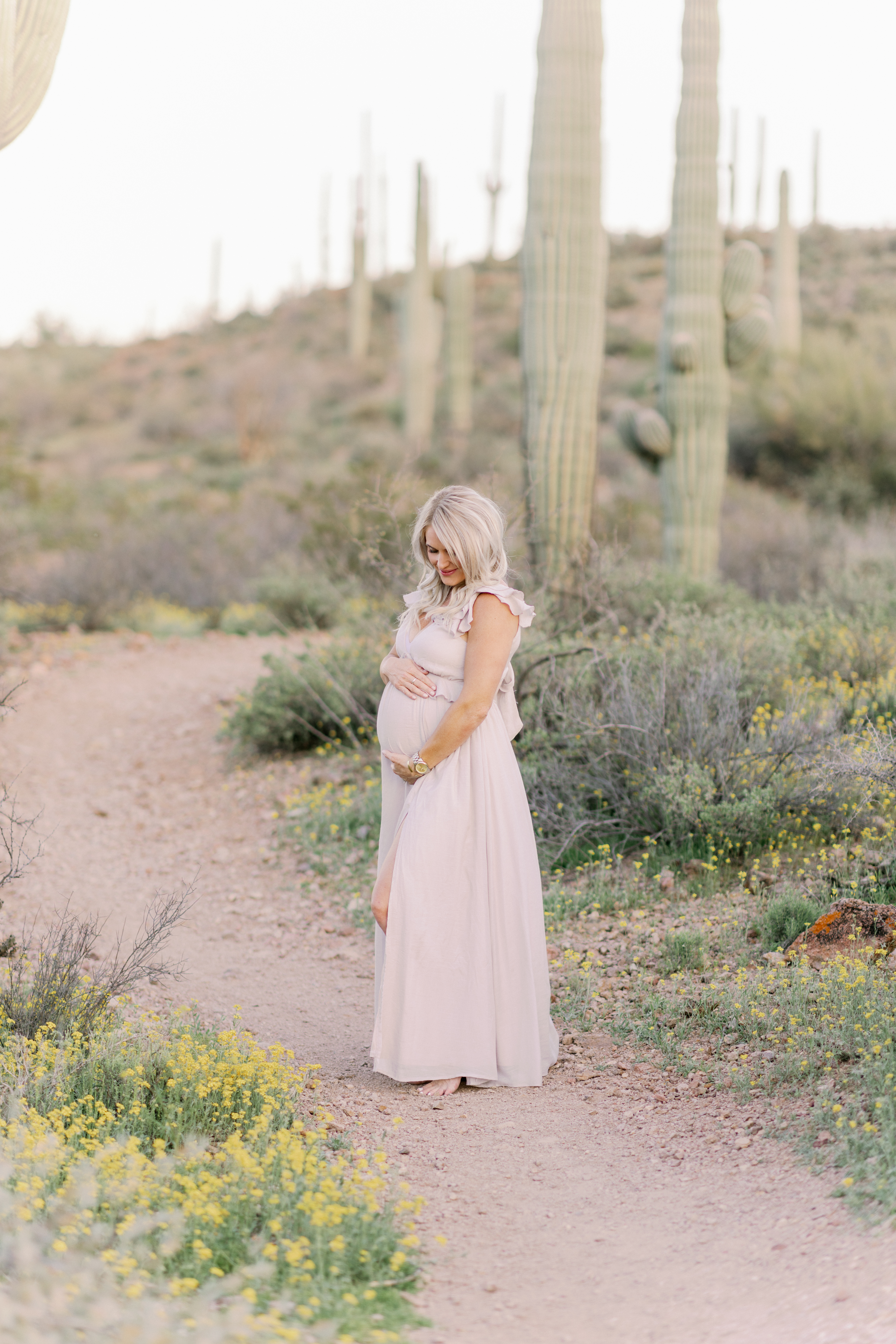 Maternity Photos in Tucson Arizona taken by Melissa Fritzsche Photography